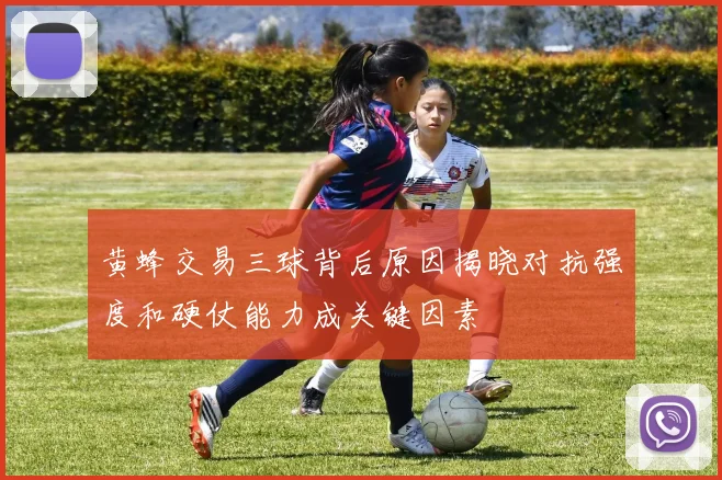 黄蜂交易三球背后原因揭晓对抗强度和硬仗能力成关键因素